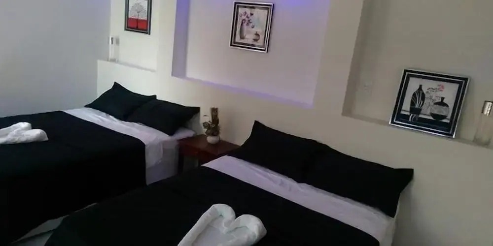 Paraíso Ayahuasca Hotel & Tours