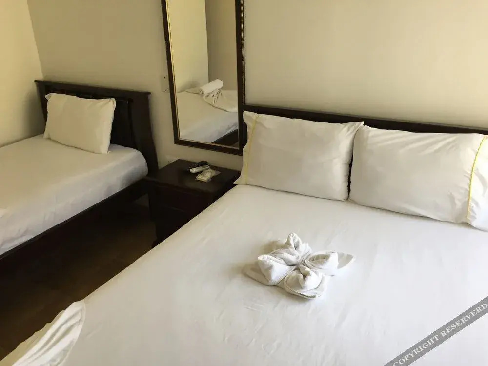 Hotel El Viajero Centro