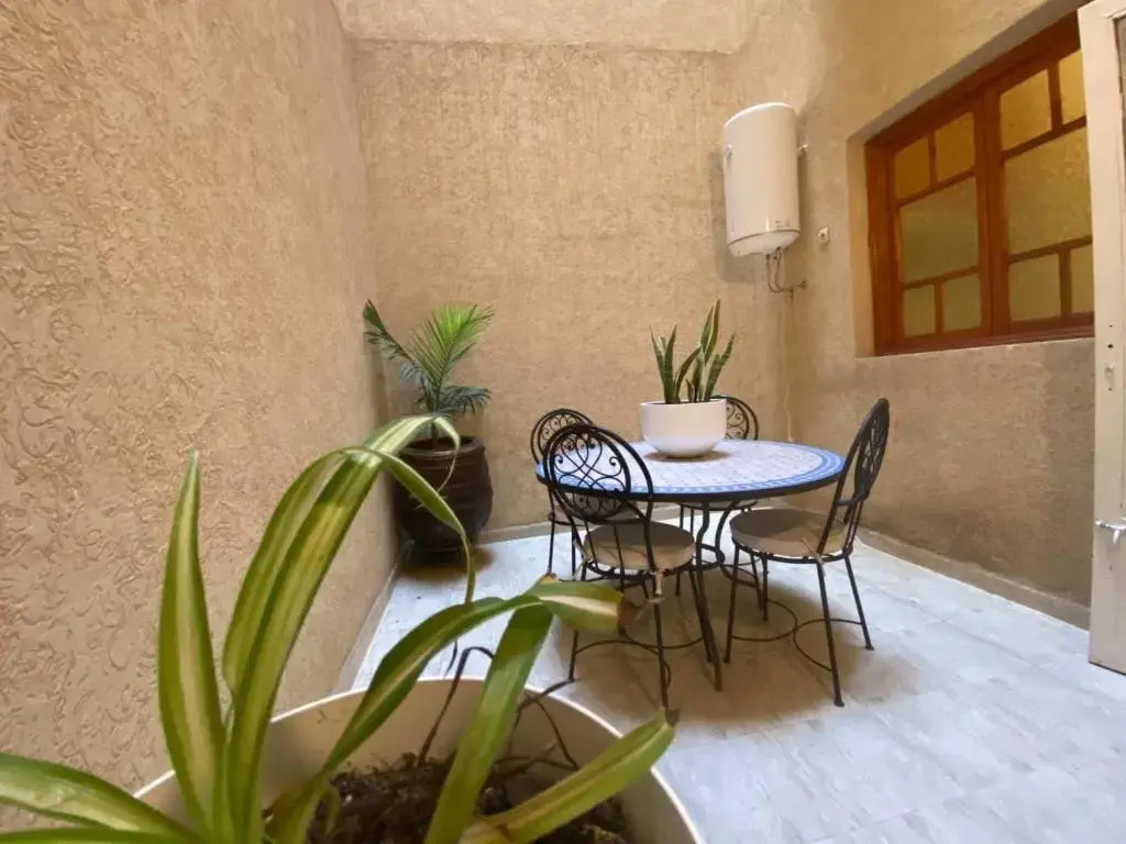 Cycas Family Aparts -Fibre Optique-