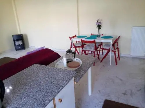 Apartment Elena