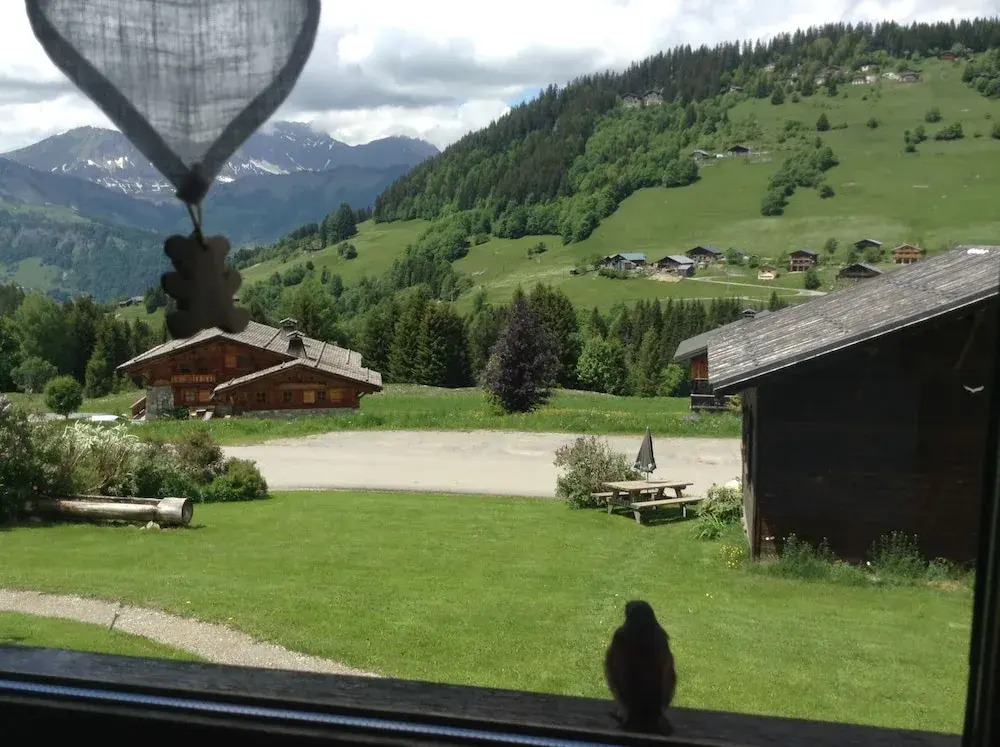Chalets Savoie Les chalets dHeidi