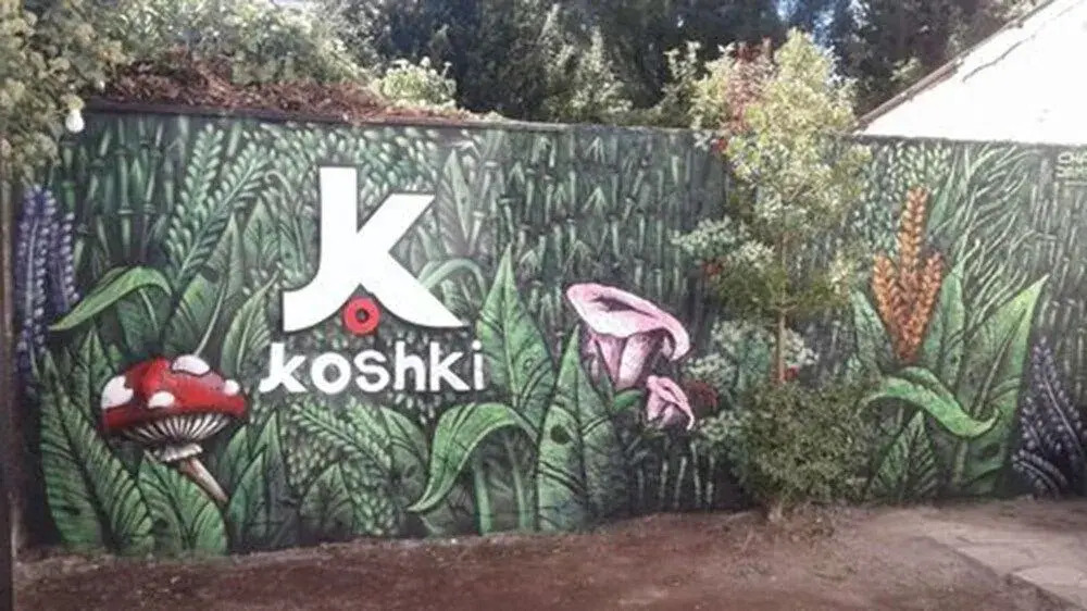 Hostel Kosh