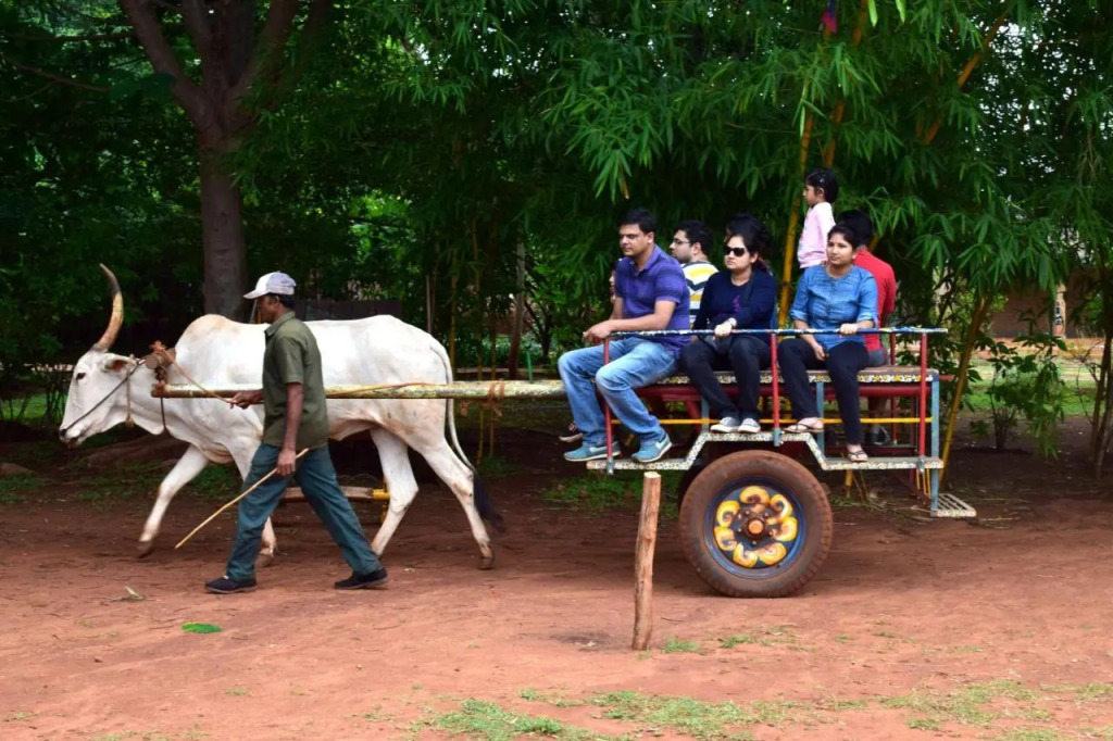 Our Native Village Eco Resort