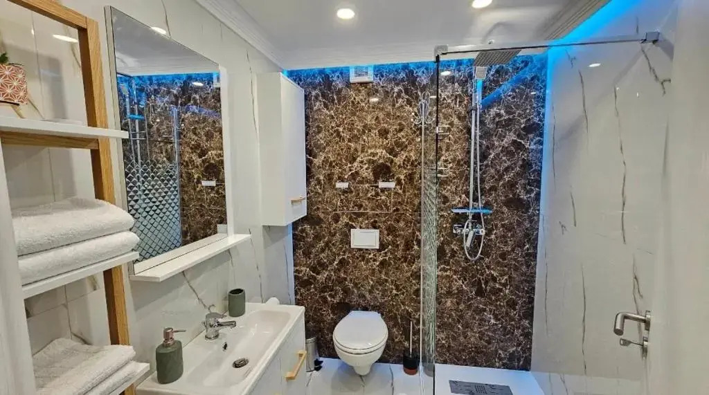 Divine Apartments Oradea Ap 19
