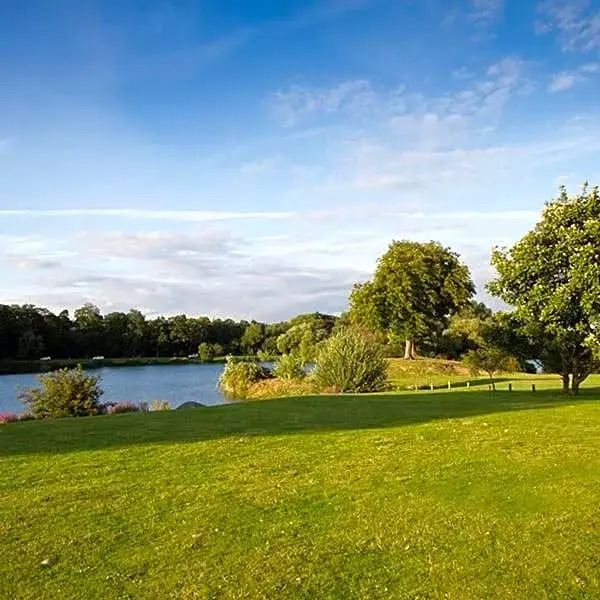 Woodland Waters