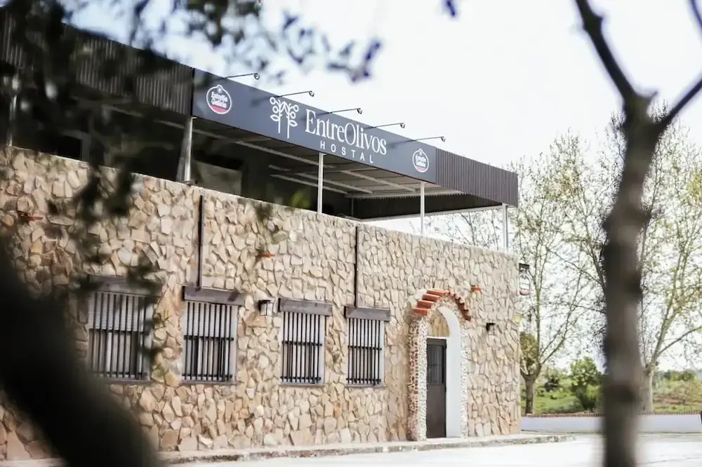 HOSTAL ENTREOLIVOS