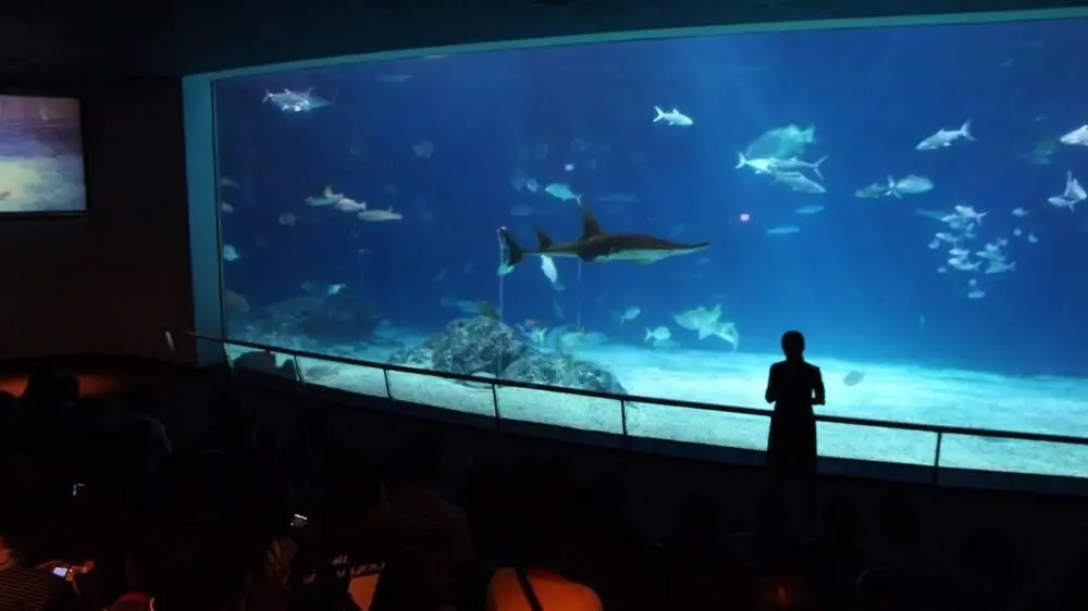 Taiwan Dive Resort - Hostel