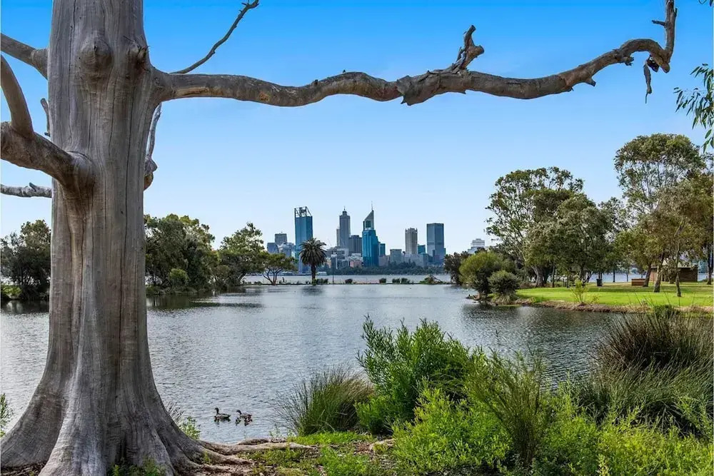 Convenient 1BR Apartment Close to Foreshore & Cbd