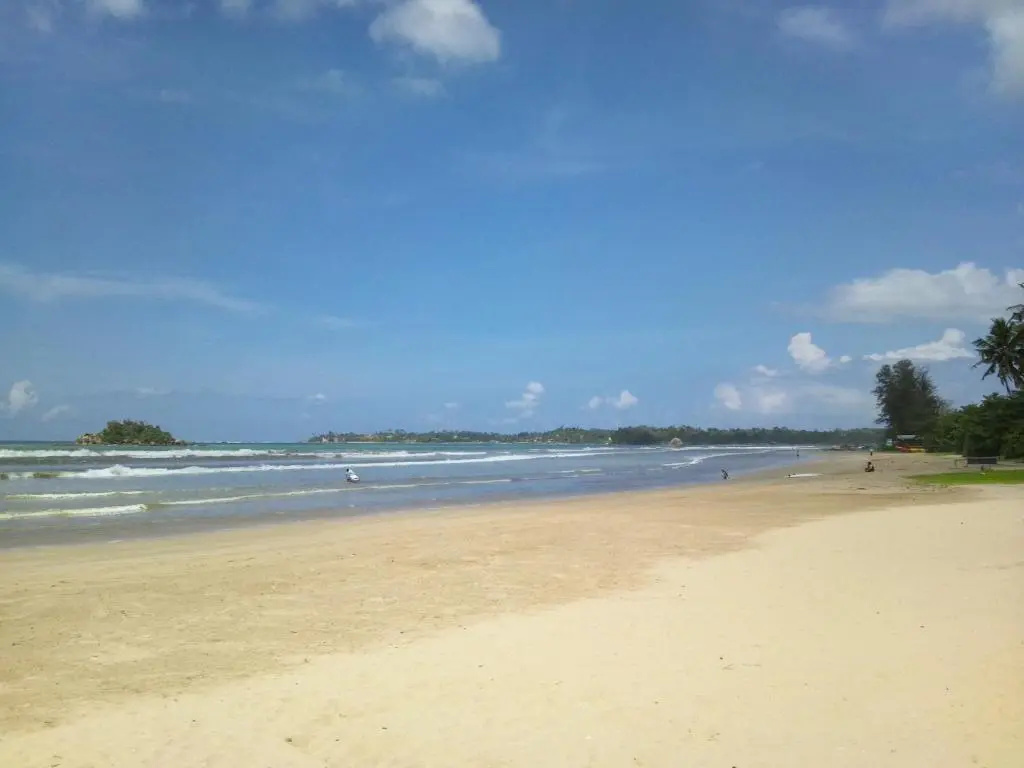 Arana Weligama