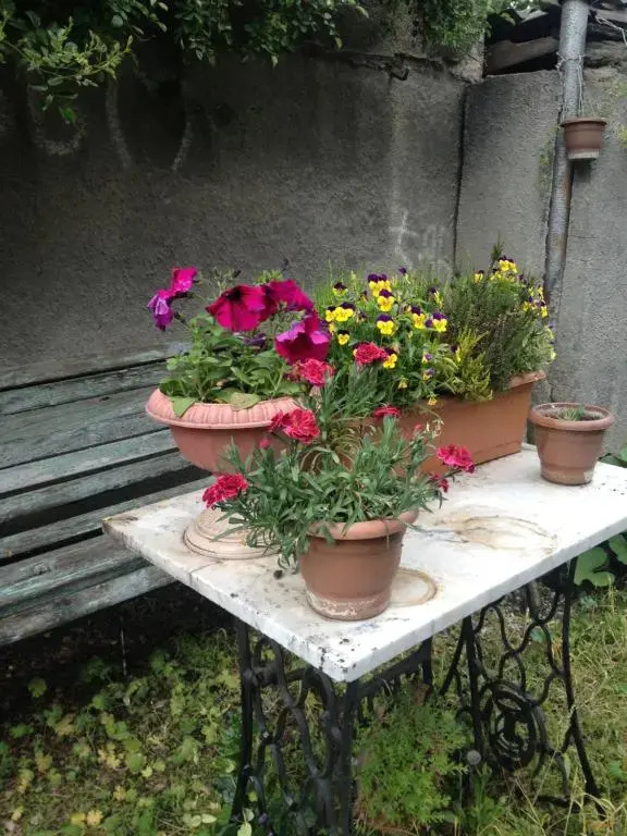 Guesthouse Jato