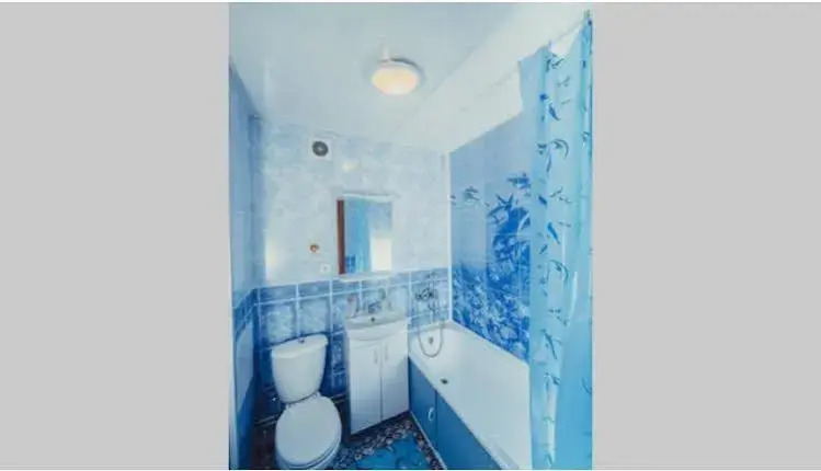 Apartment Na Panova