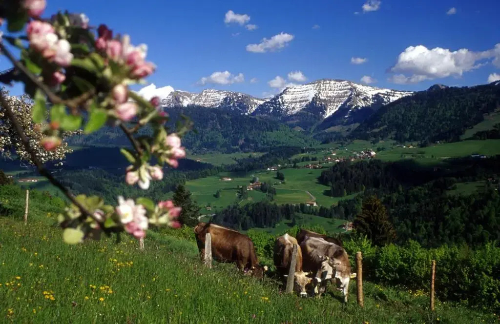 FeWo "Staufen Lodge" Oberstaufen