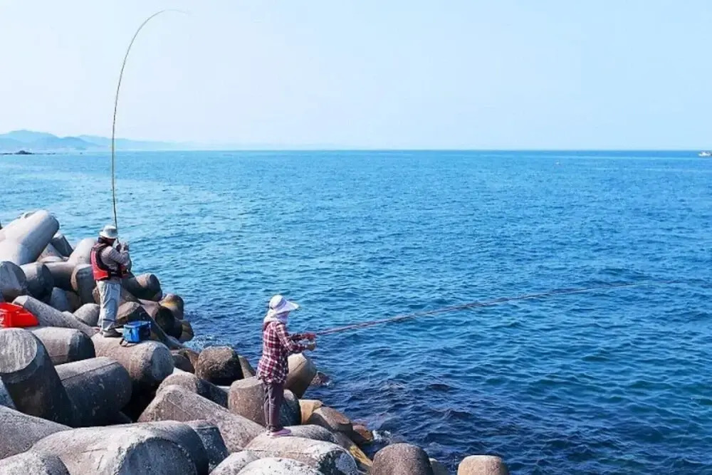 Pohang Star Farm Pension