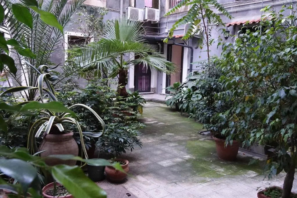 The House