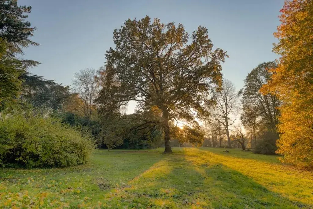 Studio "L'Ermitage" Proche Chateau
