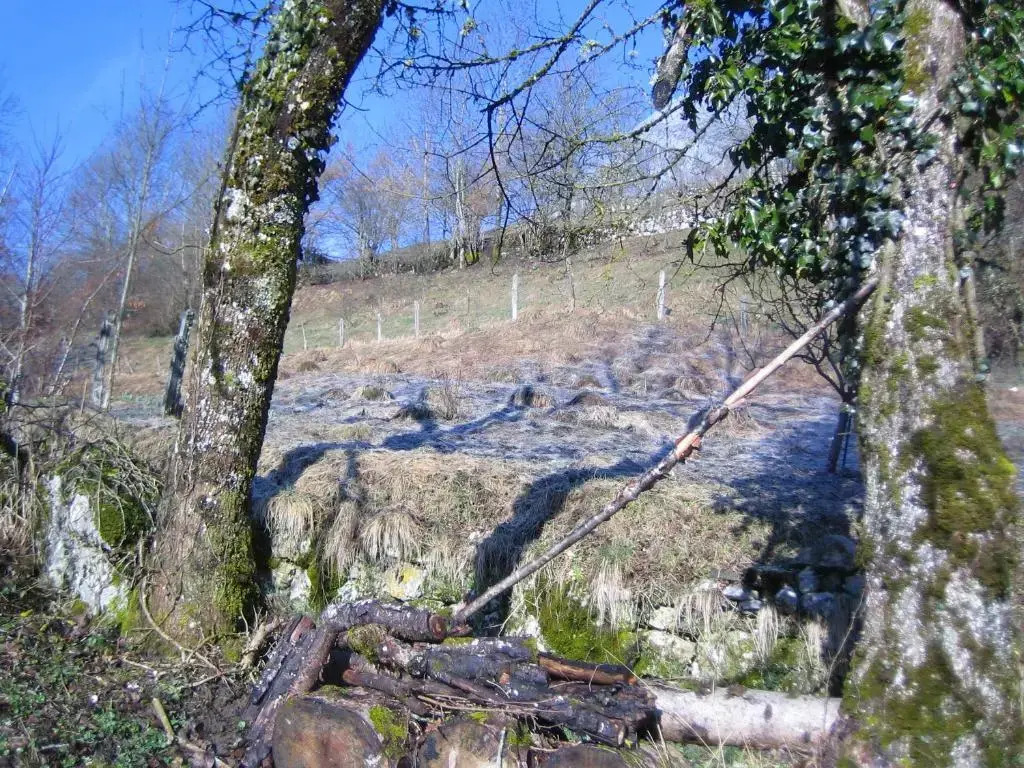 La Chouette à lheure du Pinson