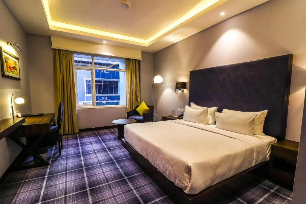 Hotel Piccadily Raipur
