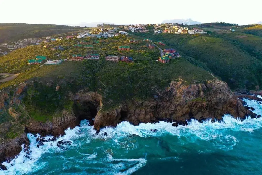 Dolphin View