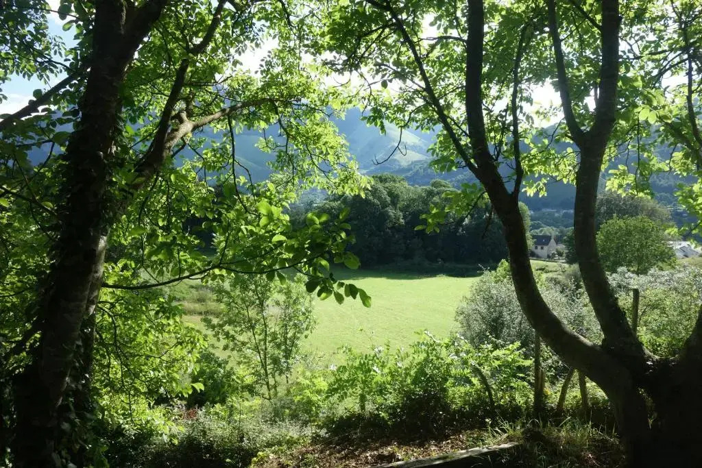 Montagne et Vie