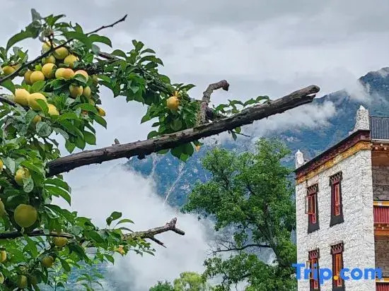 Danlu Rendao Inn