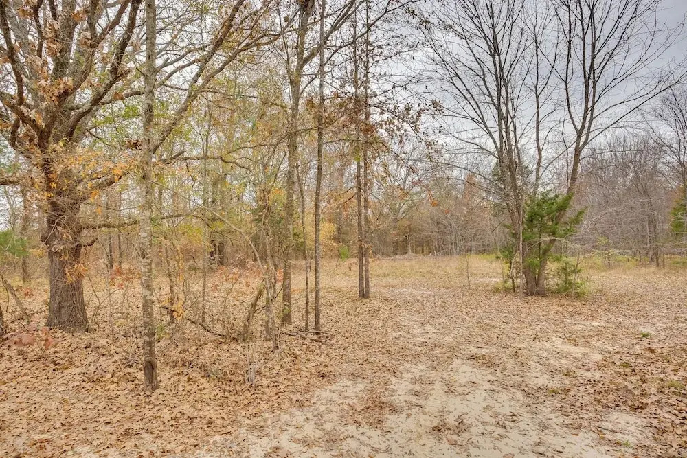 Serene Yantis Getaway - 1 Mi to Lake Fork!