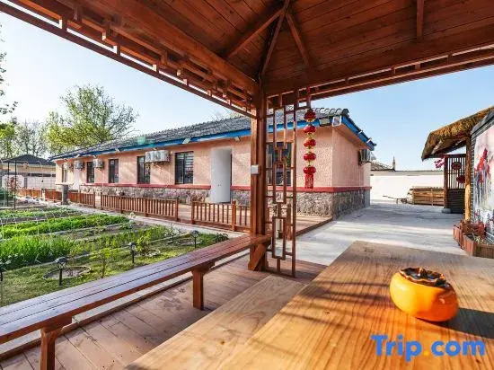 Penglai Persimmon Hidden Garden Homestay