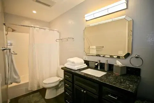 Endless Summer
