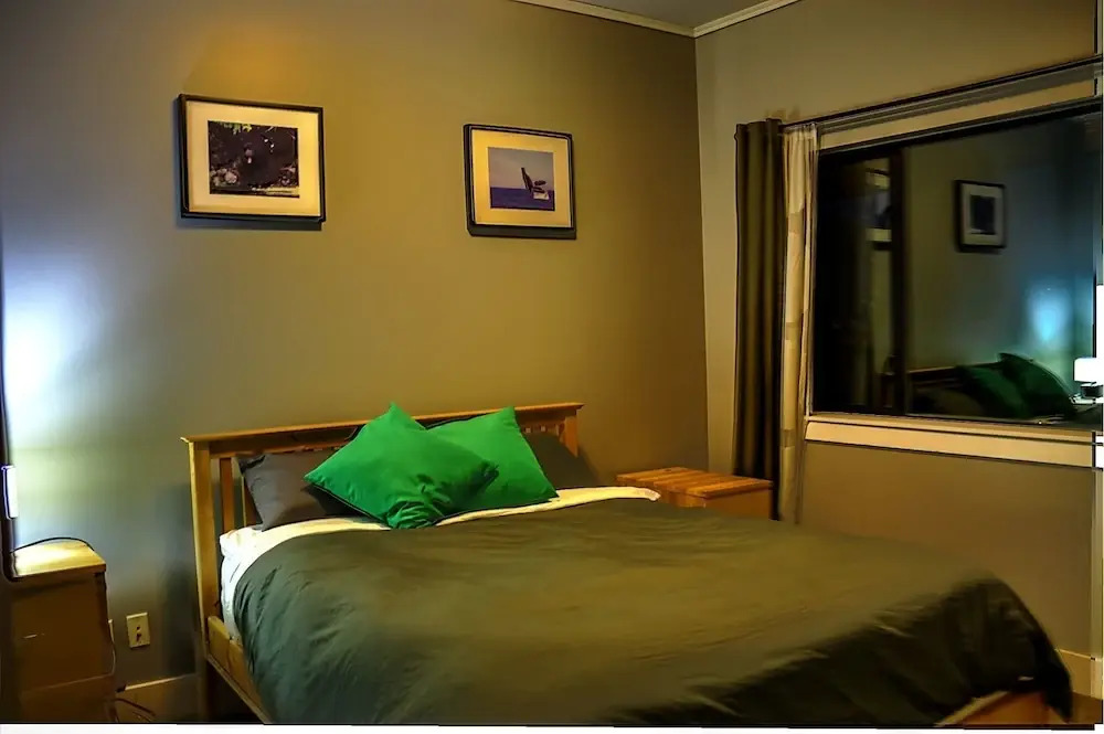 The Downtown Loft - Silver Bear