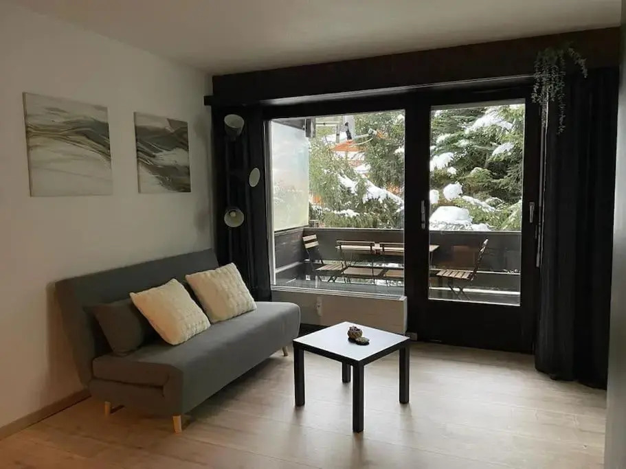 Joli Studio fraîchement rénové à côté des pistes