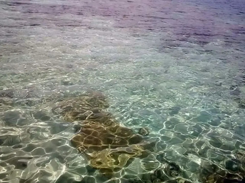 Nici Island