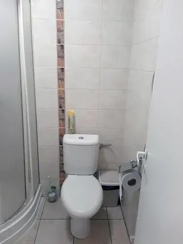 Motelis Saurida