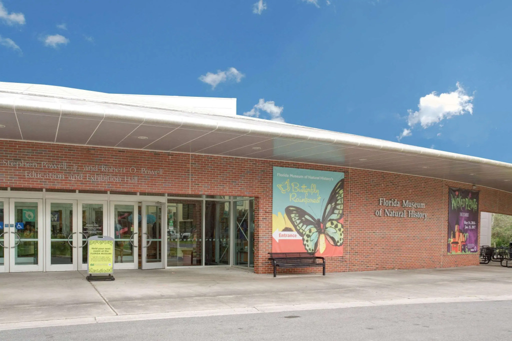Super-8-Gainesville-I-75-Hospital-University-Area