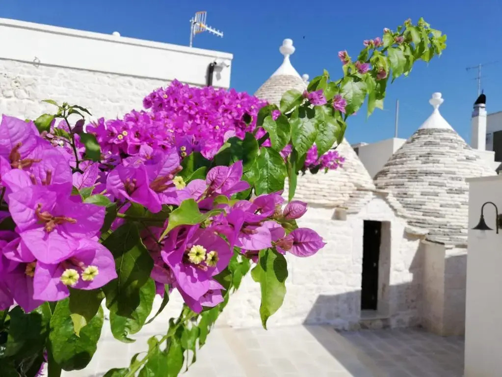 Trulli Bbalberobello Centro Con Parcheggio Gratis
