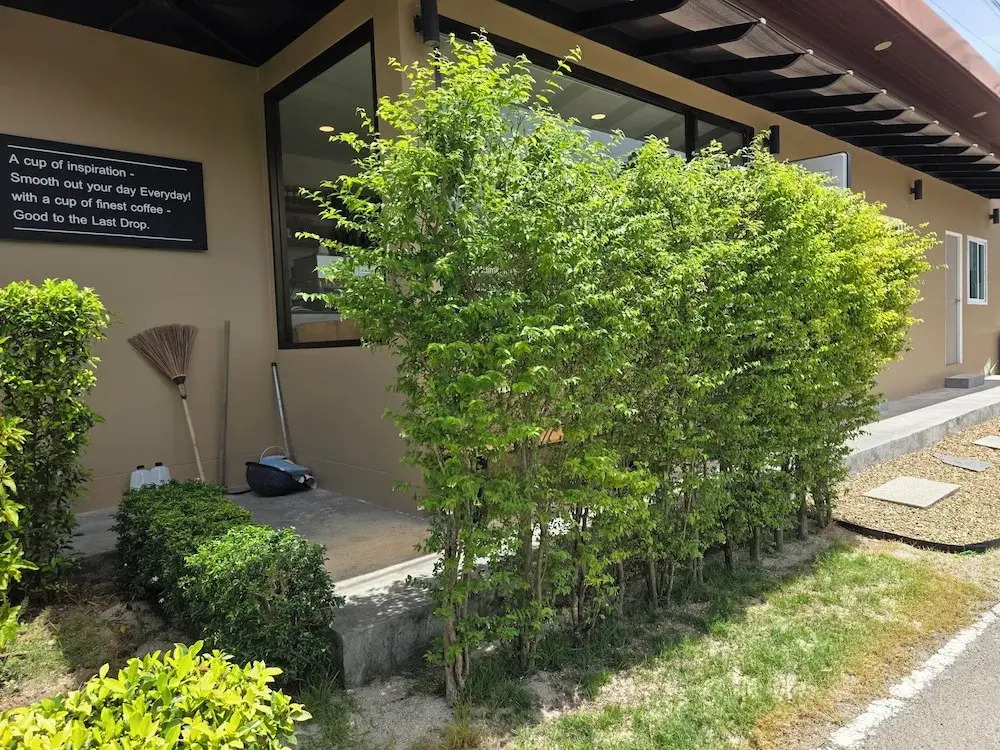 ASAP Boutique Phuket