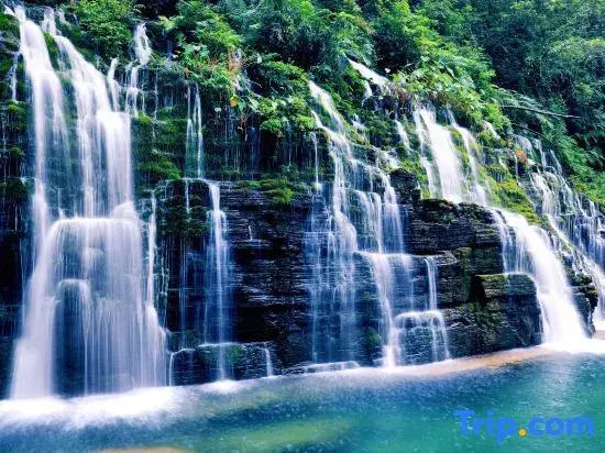 Yuanlong Hotel