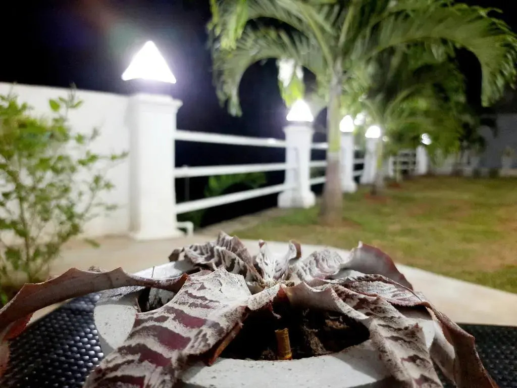 S4L Guesthouse