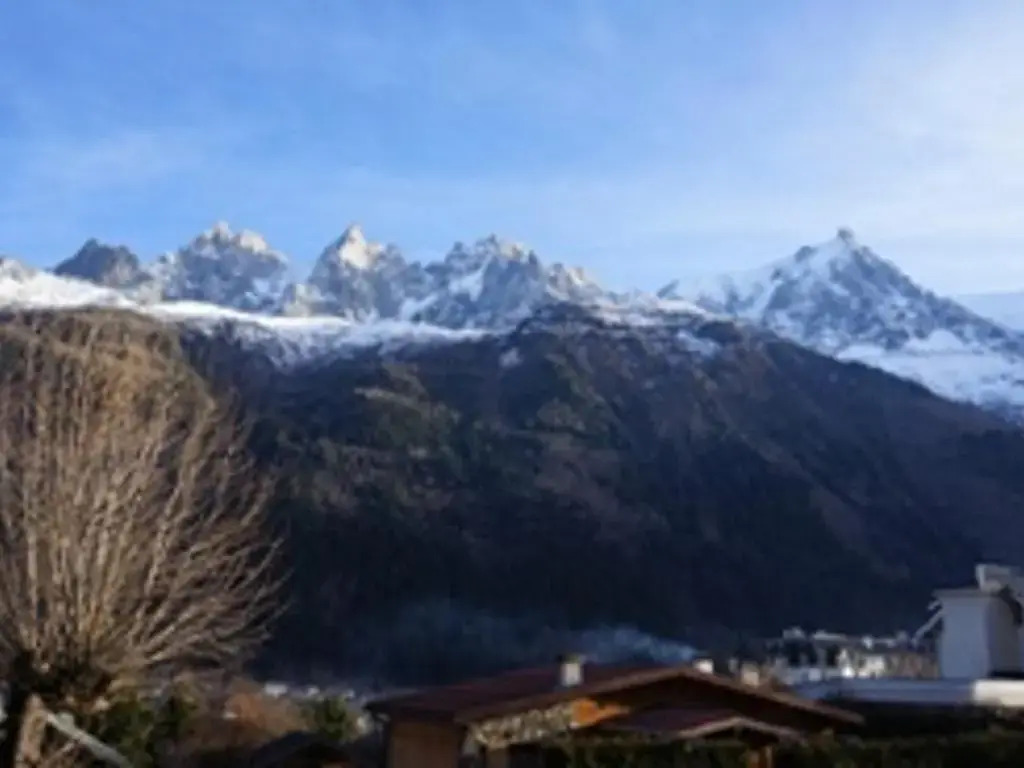 Appartement Chamonix-Mont-Blanc, 2 pièces, 4 personnes - FR-1-507-27
