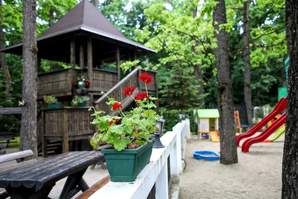 Hotel Cornul Vanatorului