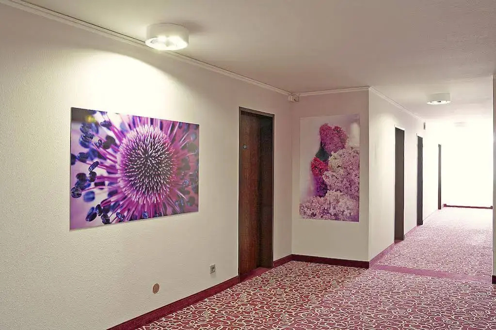 Hotel Aigner
