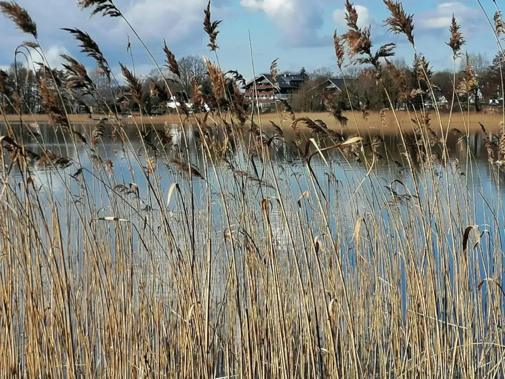 Seekajüte