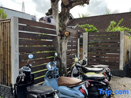 Fins Villa Medewi