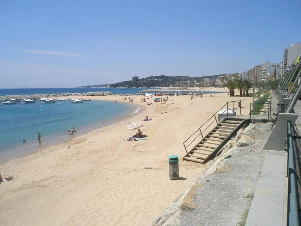Apartamento A 17 M. De La Playa
