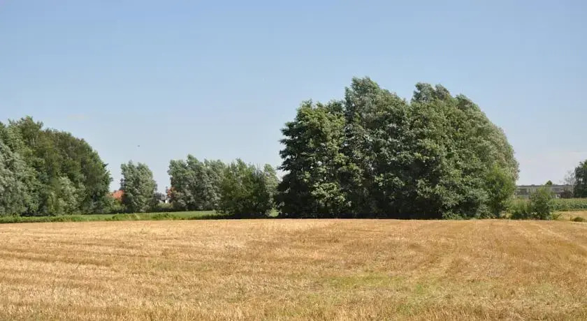 Den Overloop