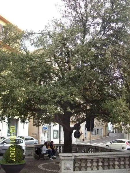 B&B Il Parco