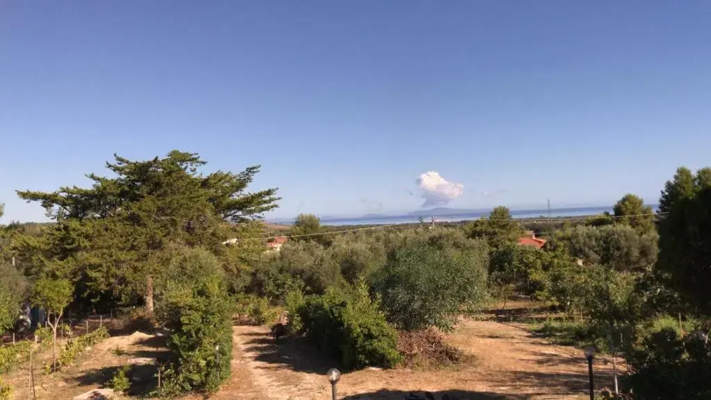Filoxenia di Umberto A pochi minuti da Porto Torres , Stintino ,Platamona