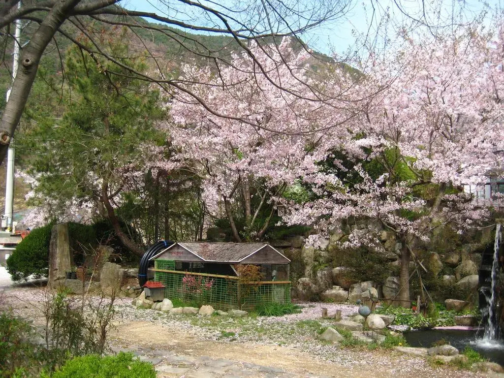 Chamnuri Pension