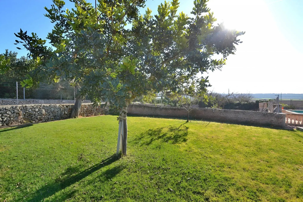C272 Sa Rota by Mallorca Villa Selection