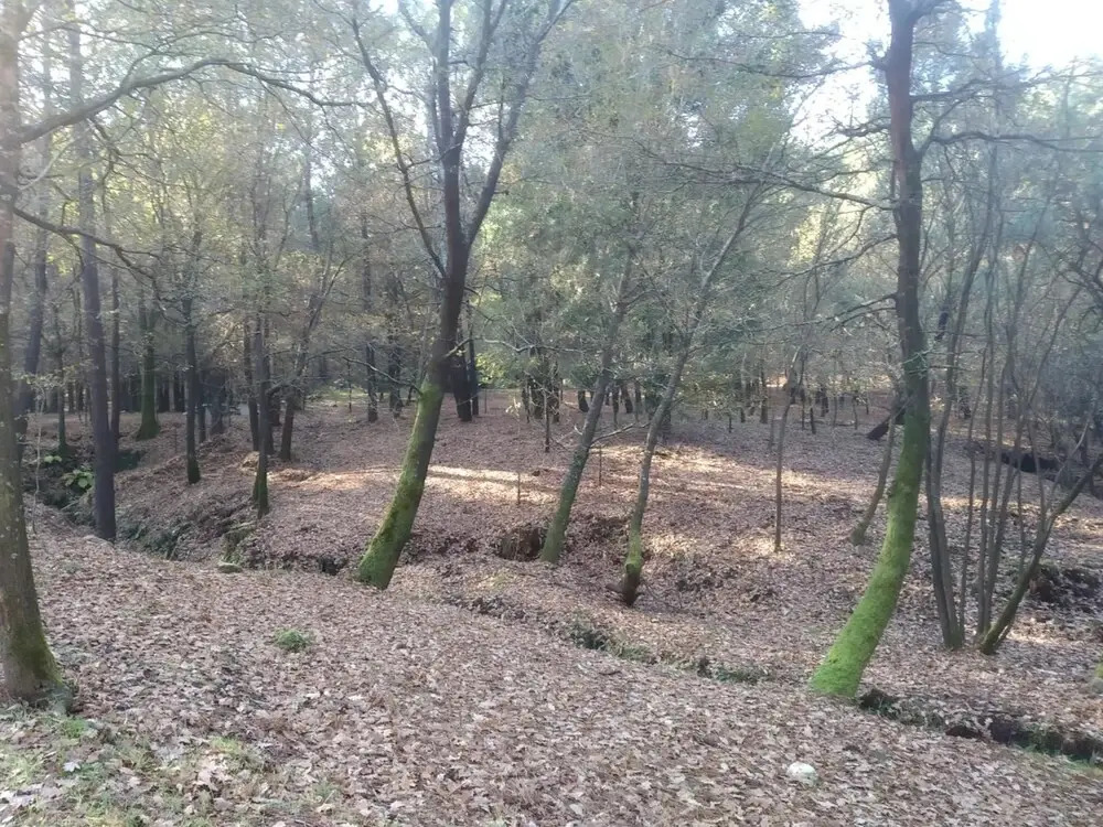 Apartment With one Bedroom in Tui, With Wonderful Mountain View, Terra