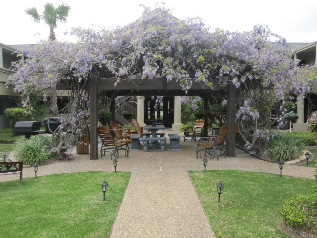 Vineyard Court Designer Suites Hotel