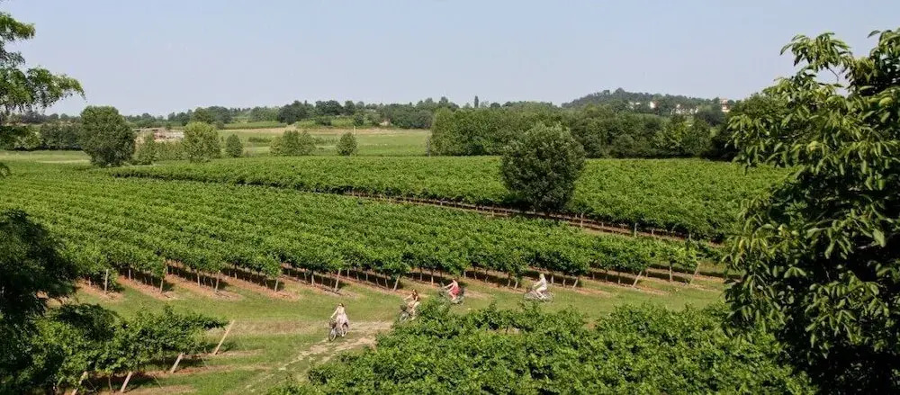 Tenuta San Leone